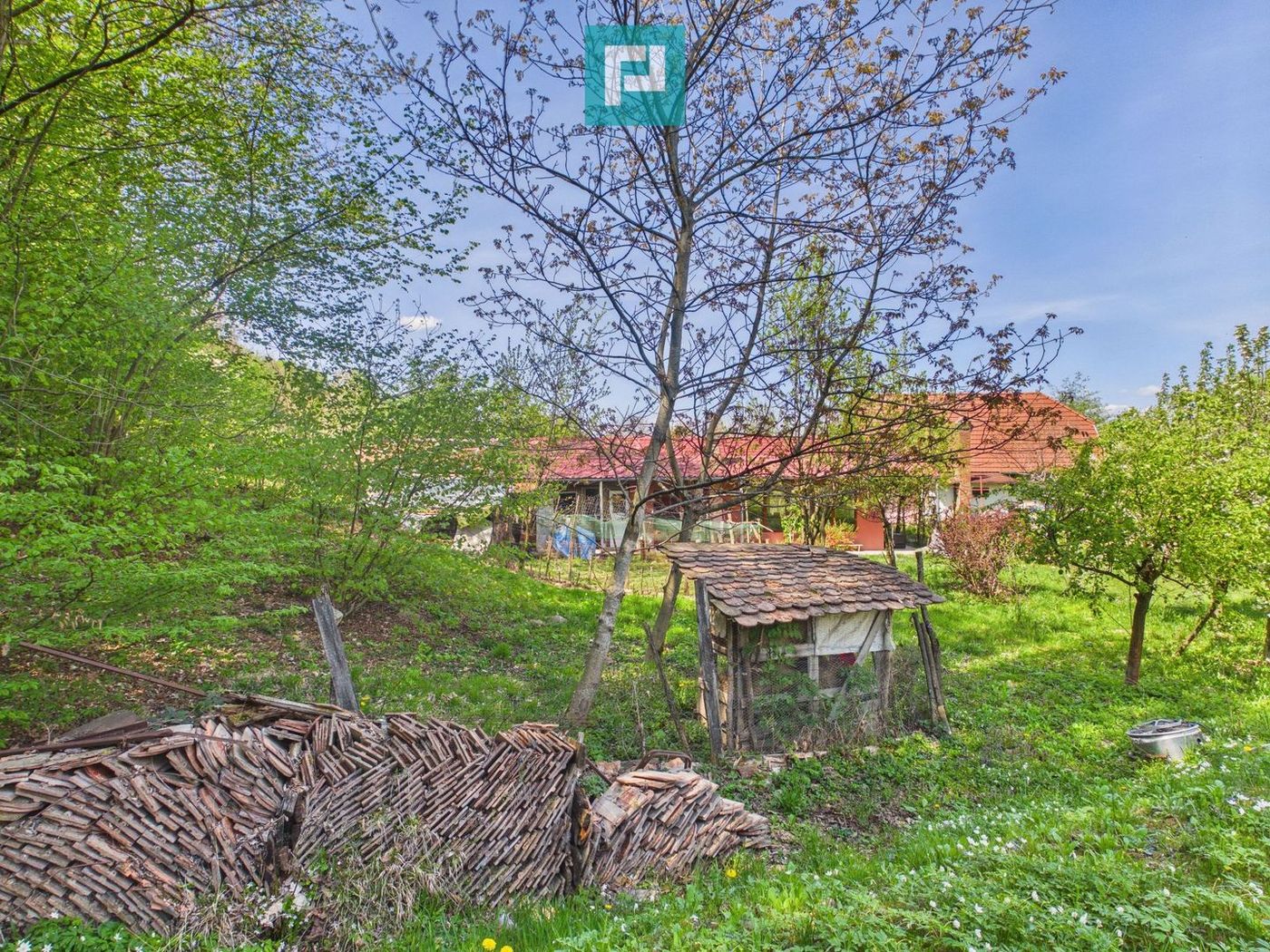 Casă Câmpani, 8000 mp teren, la poalele Apusenilor - foto 5 Casă Câmpani, 8000 mp teren, la poalele Apusenilor - foto 5