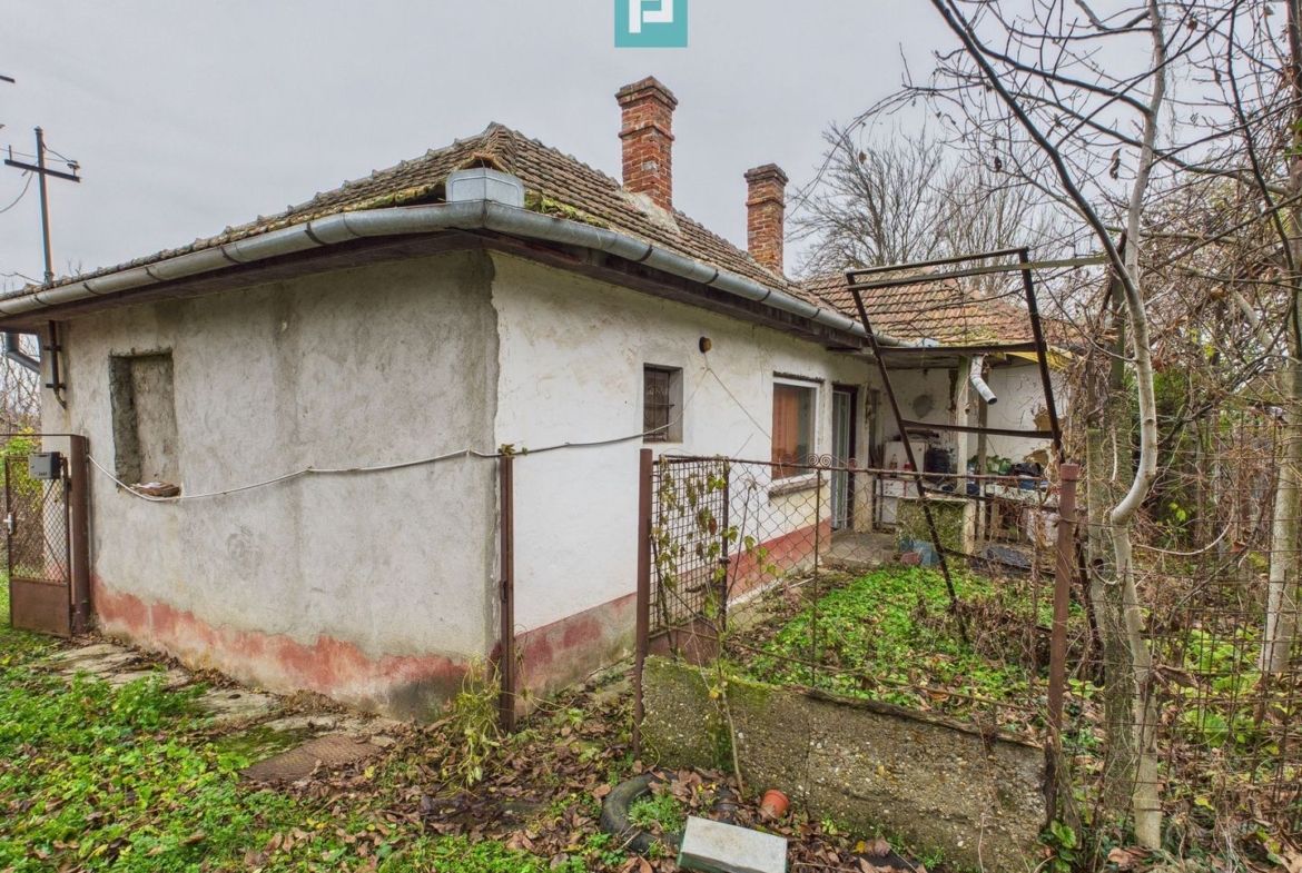 Casă 70 mp în Diosig, 1230 mp teren, cu Crama 25mp - foto 2