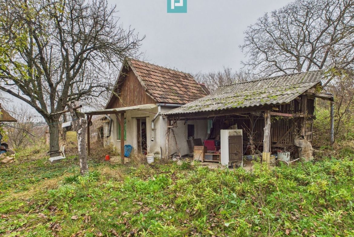 Casă 70 mp în Diosig, 1230 mp teren, cu Crama 25mp - foto 3