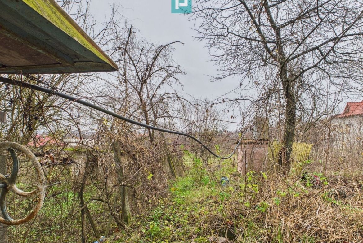 Casă 70 mp în Diosig, 1230 mp teren, cu Crama 25mp - foto 4