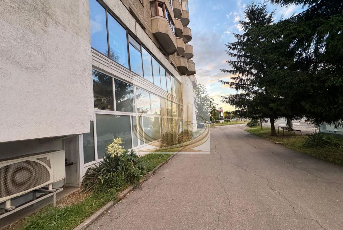 Spațiu comercial | Etaj 1 | Calea Aradului | Showroom, clinică,birouri - foto 4
