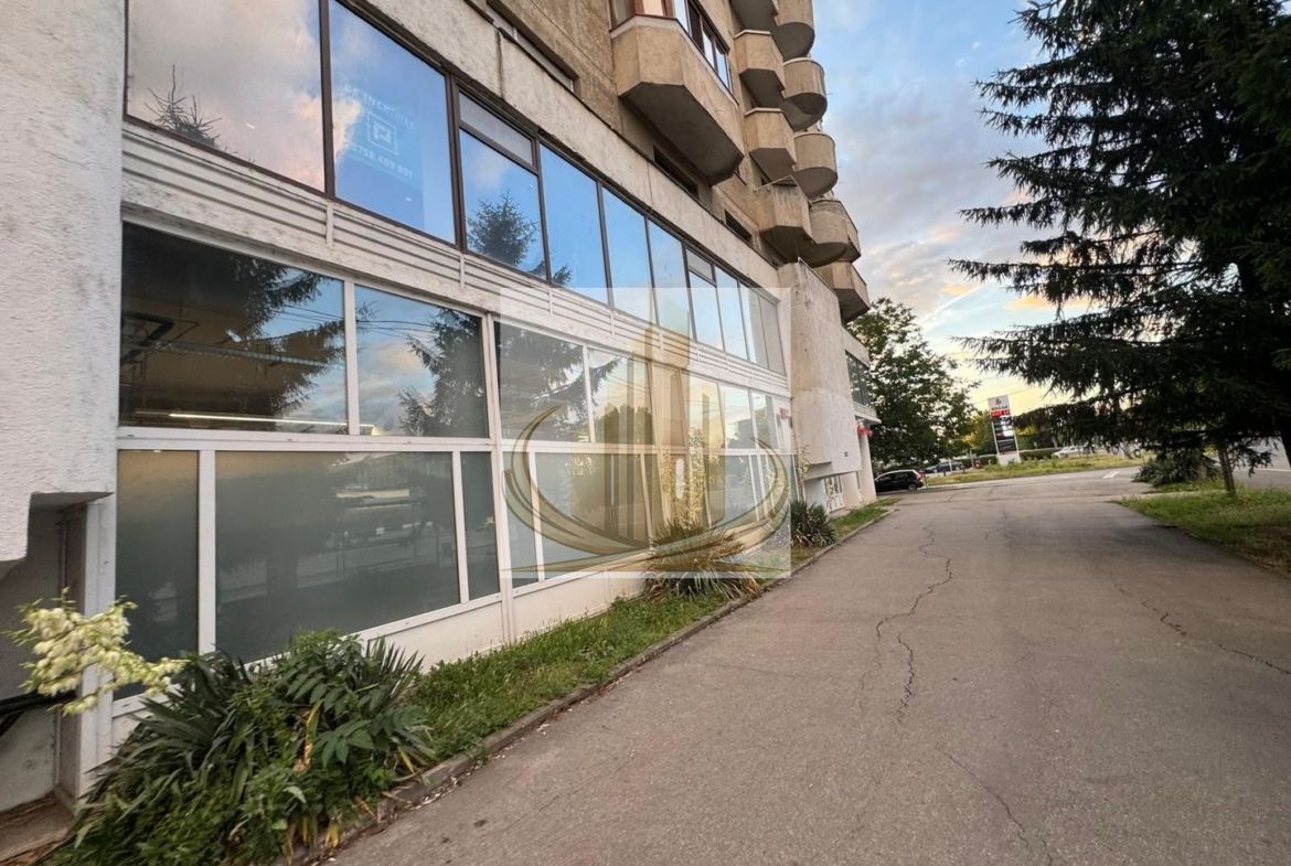 Investiție comercială 1.541 mp cu chiriași – Calea Aradului. - foto 3