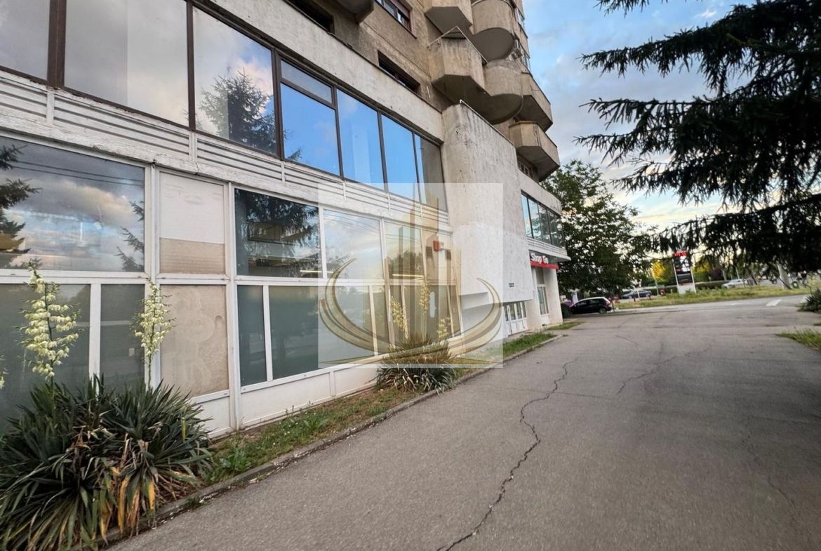 Investiție comercială 1.541 mp cu chiriași – Calea Aradului. - foto 8