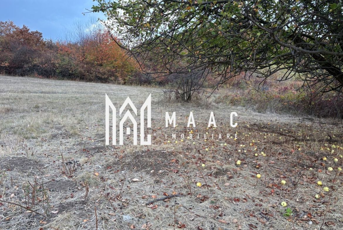 Teren de vânzare 5.000 mp | Poplaca | lângă pădure - Imagine principala