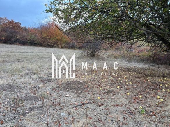 Teren de vânzare 5.000 mp | Poplaca | lângă pădure - Imagine principala