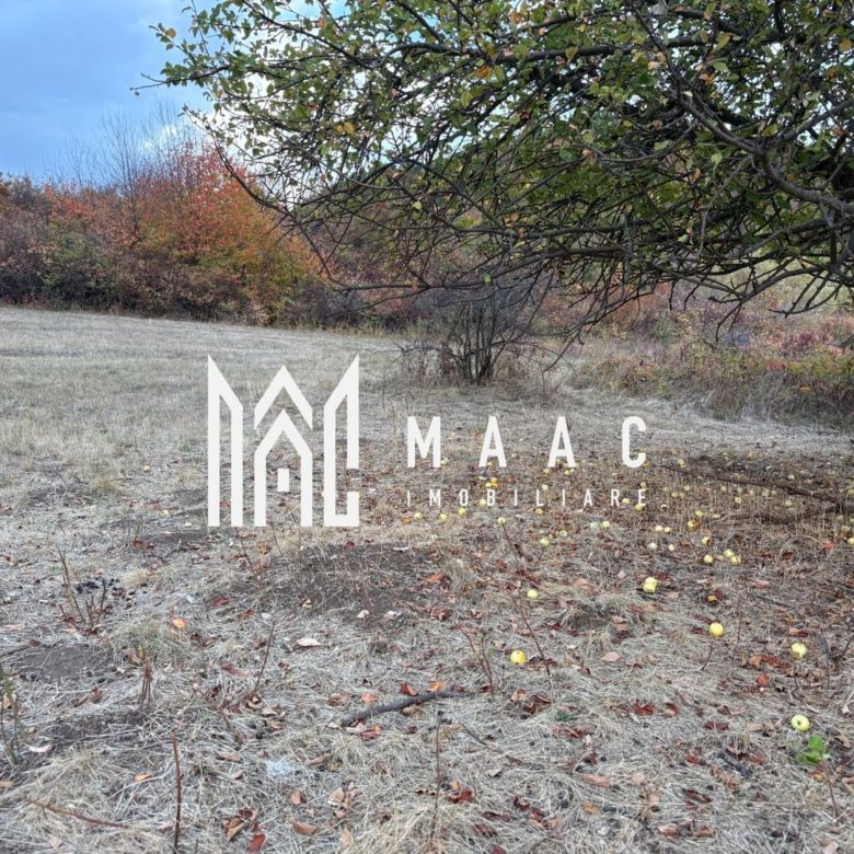 Teren de vânzare 5.000 mp | Poplaca | lângă pădure - Imagine principala