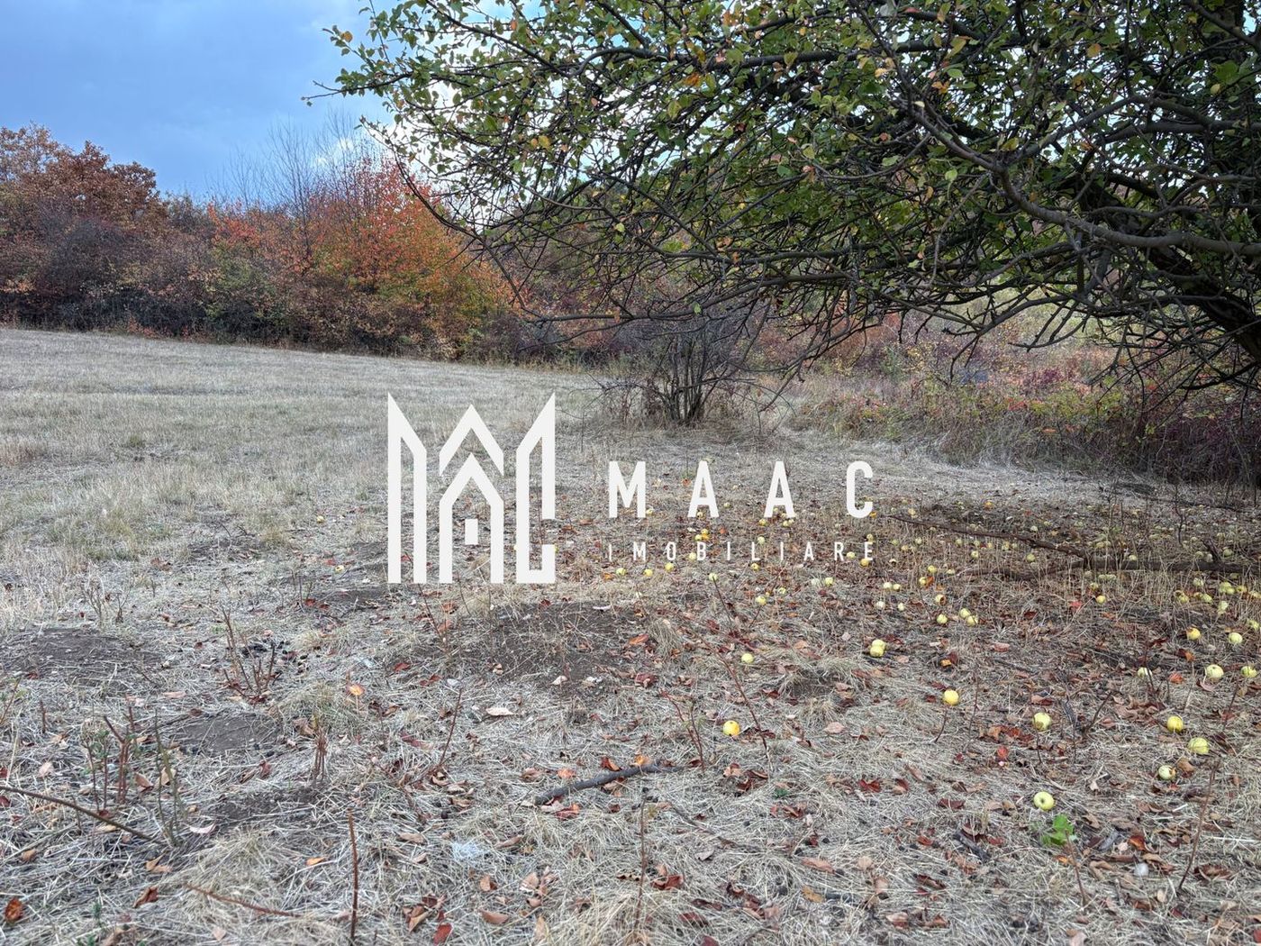 Teren de vânzare 5.000 mp | Poplaca | lângă pădure - Imagine principala Teren de vânzare 5.000 mp | Poplaca | lângă pădure - Imagine principala