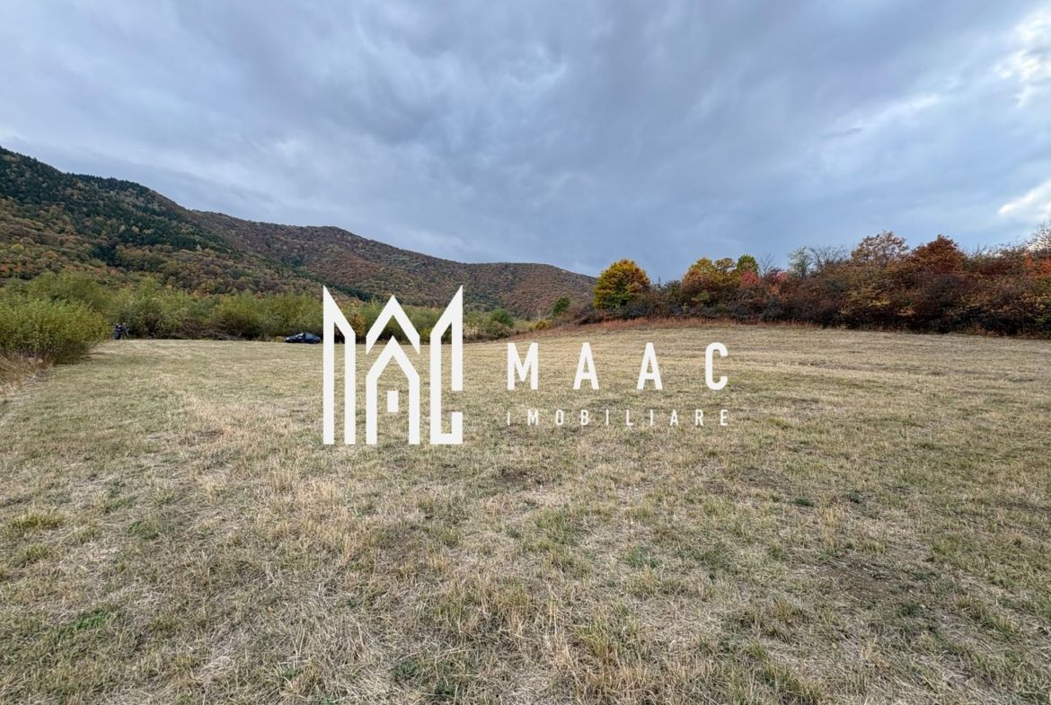 Teren de vânzare 5.000 mp | Poplaca | lângă pădure - foto 2