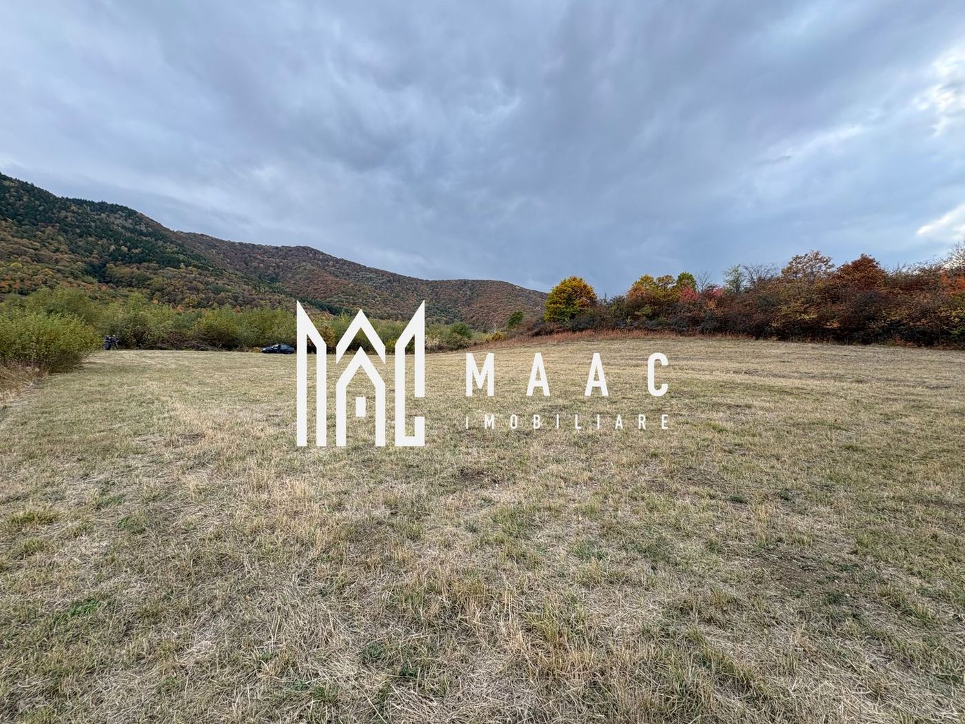 Teren de vânzare 5.000 mp | Poplaca | lângă pădure - foto 2 Teren de vânzare 5.000 mp | Poplaca | lângă pădure - foto 2