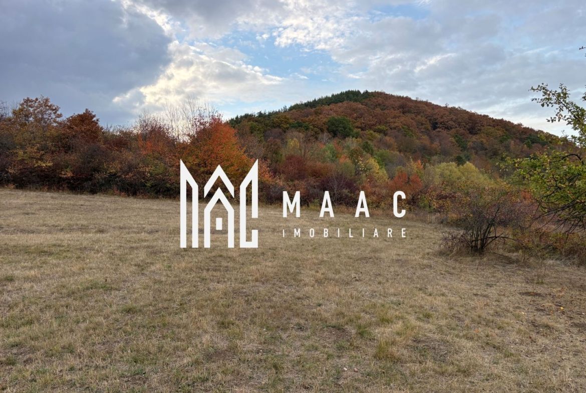 Teren de vânzare 5.000 mp | Poplaca | lângă pădure - foto 3