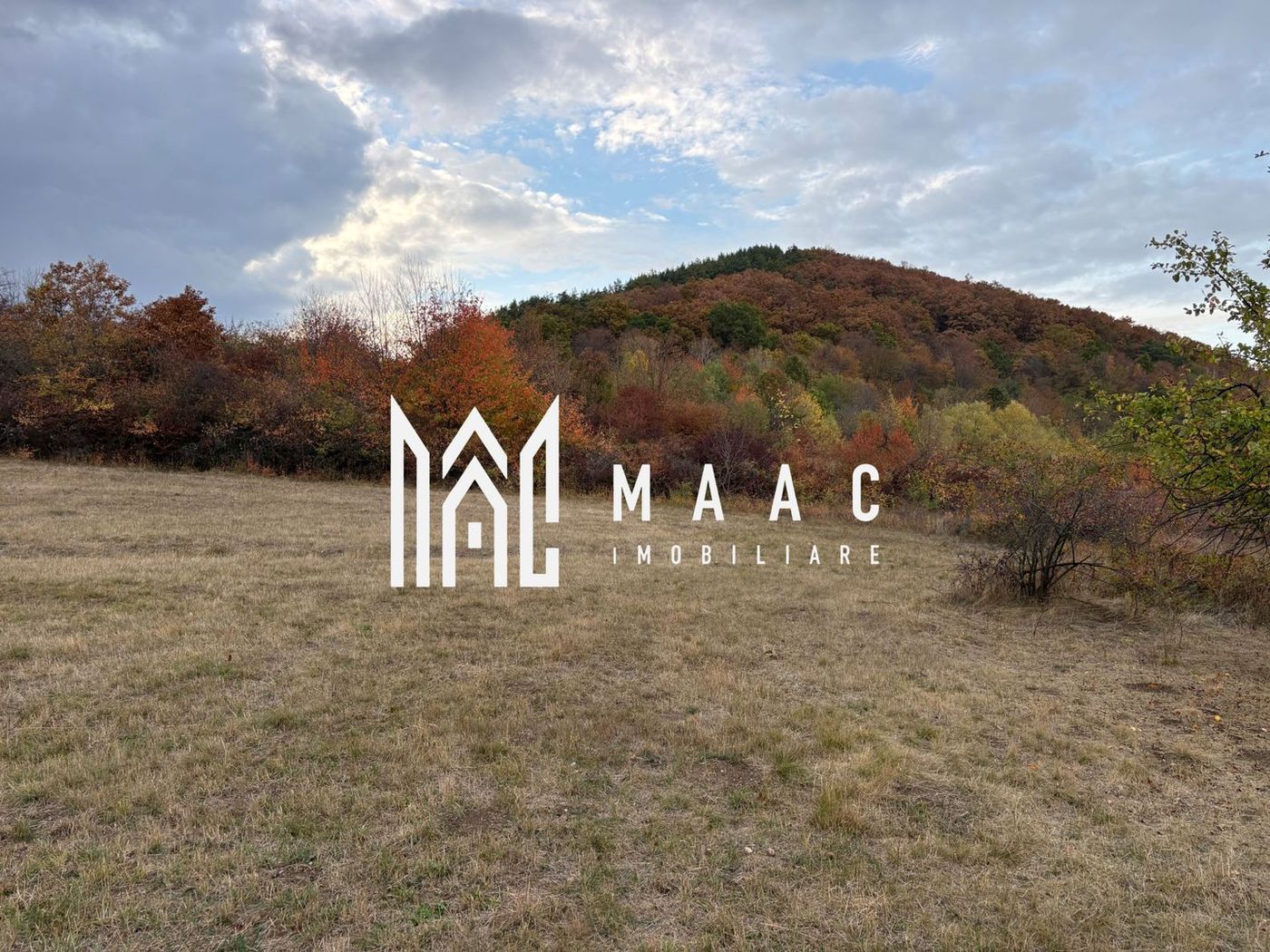 Teren de vânzare 5.000 mp | Poplaca | lângă pădure - foto 3 Teren de vânzare 5.000 mp | Poplaca | lângă pădure - foto 3