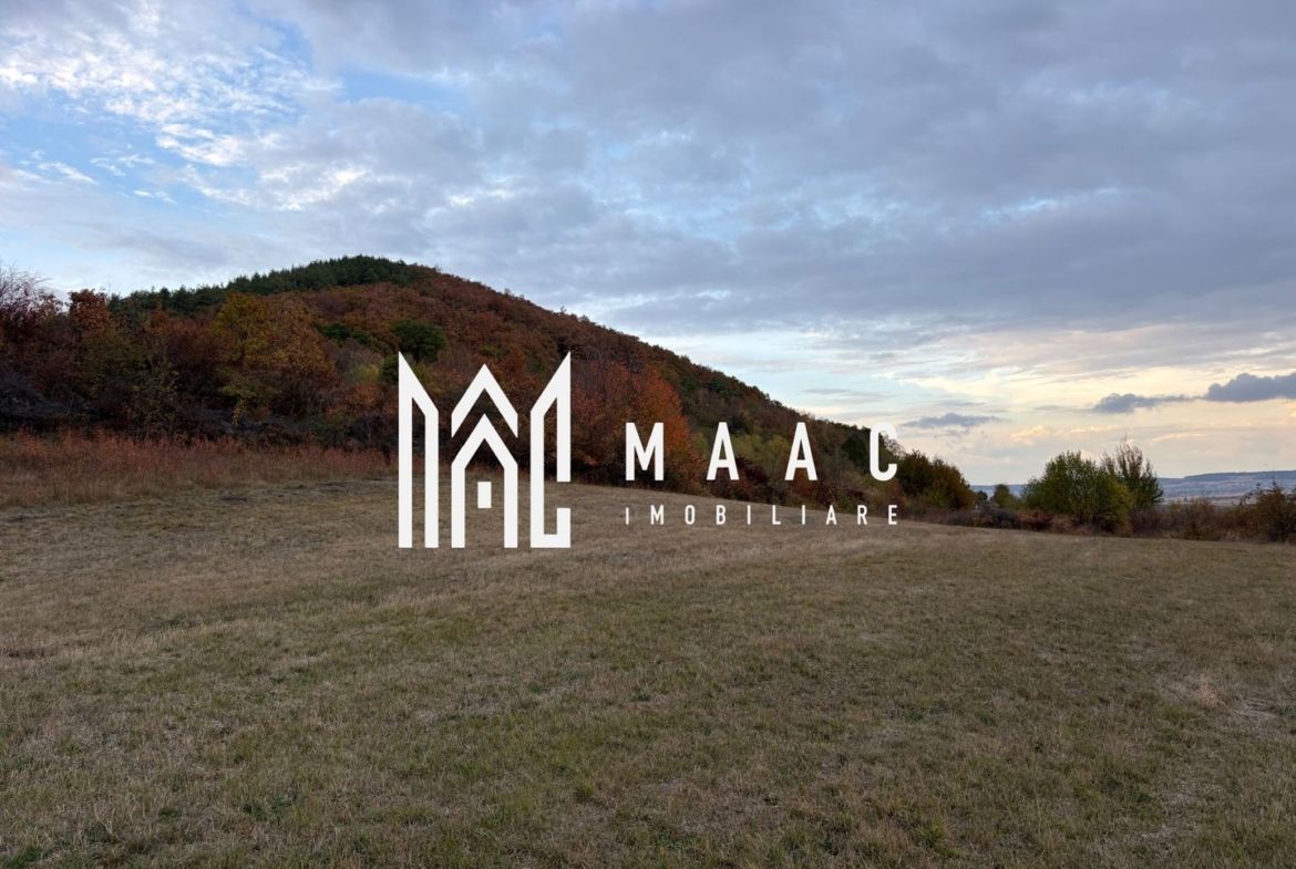 Teren de vânzare 5.000 mp | Poplaca | lângă pădure - foto 4