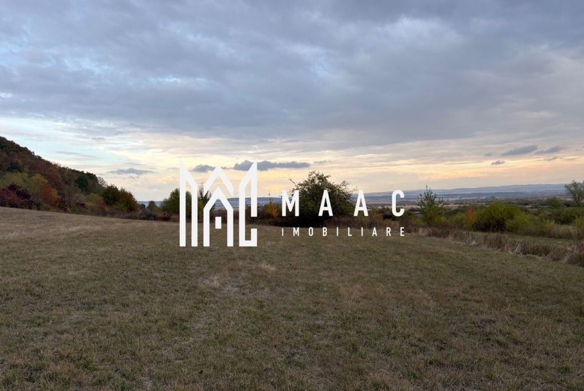 Teren de vânzare 5.000 mp | Poplaca | lângă pădure - foto 5