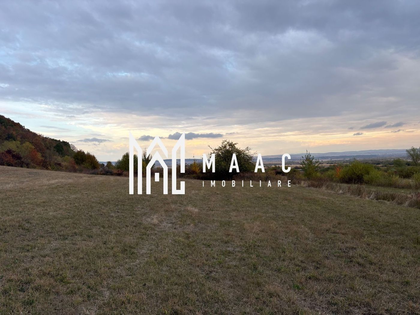 Teren de vânzare 5.000 mp | Poplaca | lângă pădure - foto 5 Teren de vânzare 5.000 mp | Poplaca | lângă pădure - foto 5