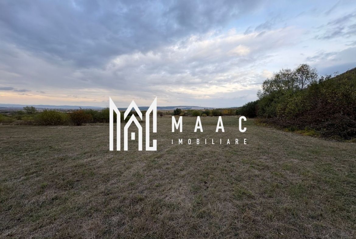 Teren de vânzare 5.000 mp | Poplaca | lângă pădure - foto 6