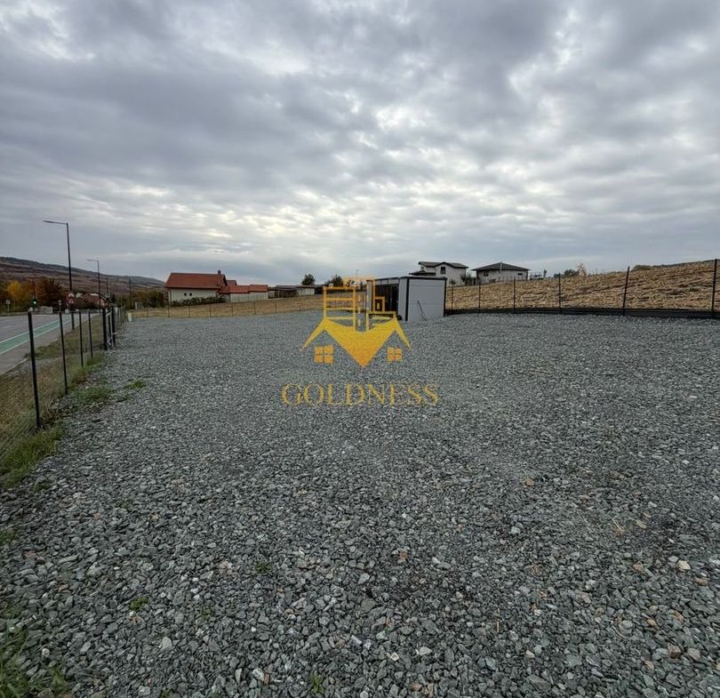 TEREN, 1000 MP, FRONT 57 ML,CONTAINER BIROU, VALEA CHINTAULUI - foto 3
