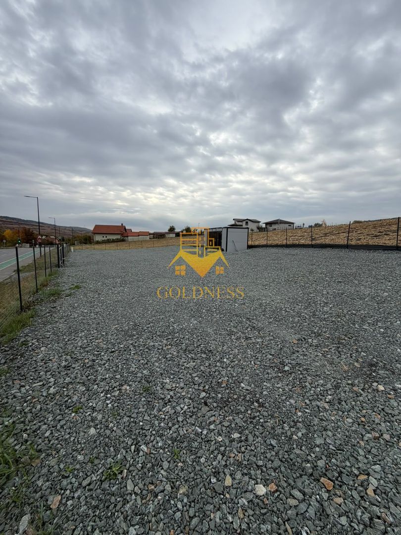 TEREN, 1000 MP, FRONT 57 ML,CONTAINER BIROU, VALEA CHINTAULUI - foto 3