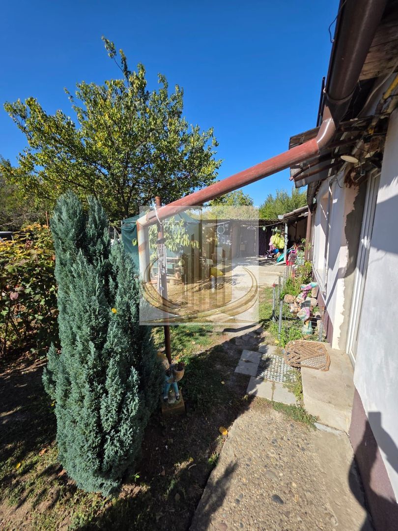 Casa de vânzare 4 camere 409mp Ronat - foto 5