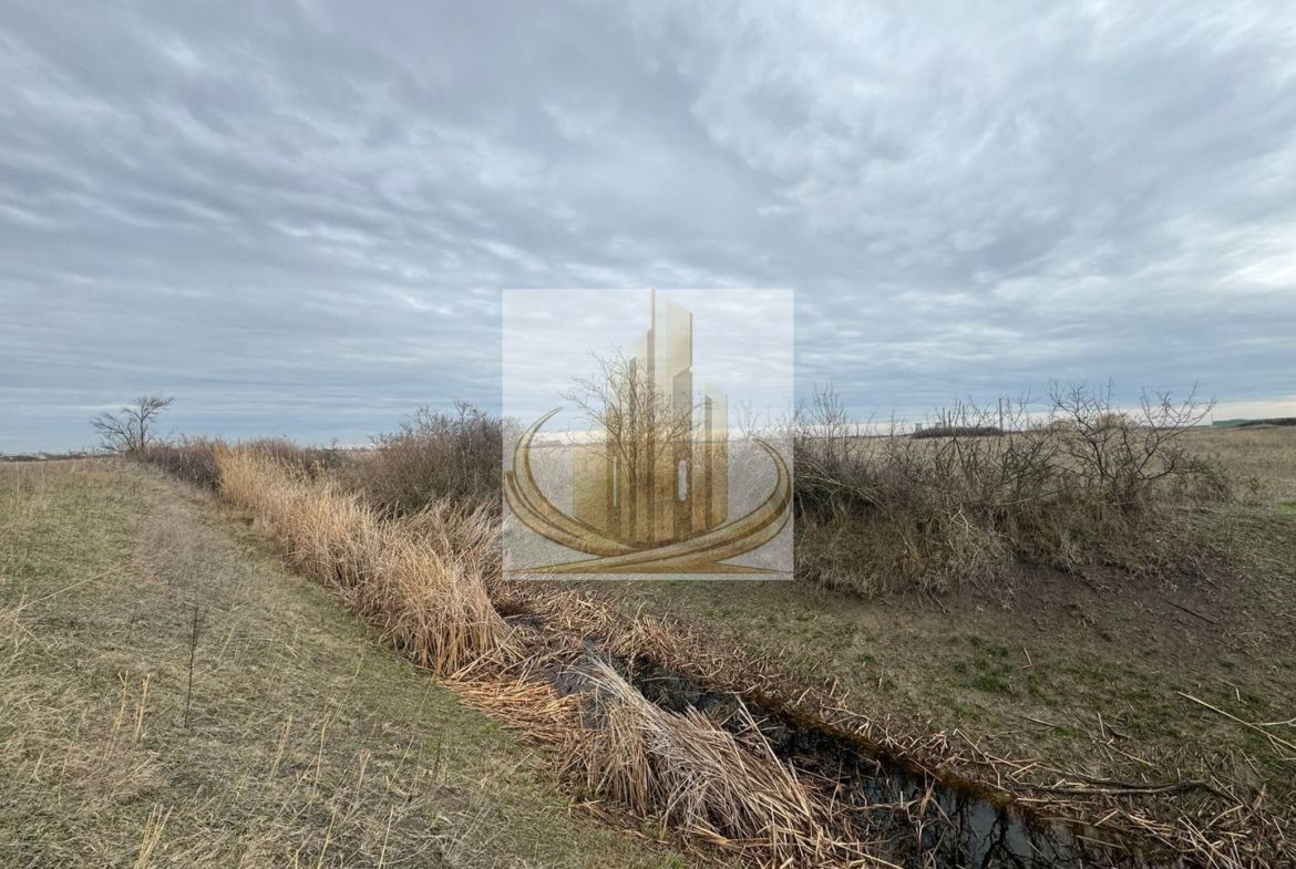 Teren 5.000 mp centura Calea Sagului- Freidorf. - foto 4