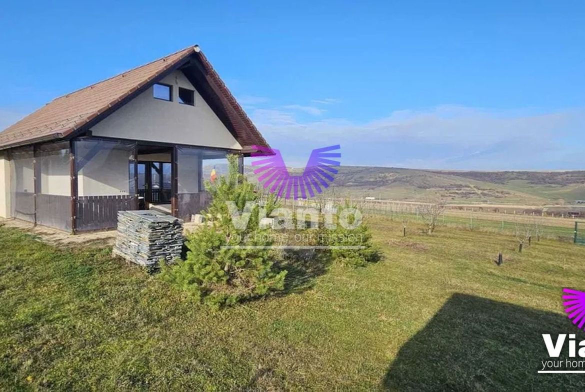 Casa de vanzare Daia Noua 1300mp2 - foto 2