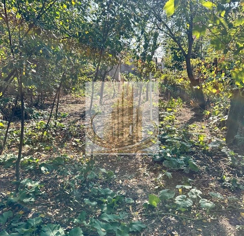 Casă individuală Plopi, 60 mp utili, teren 477 mp, necesită renovare - foto 7