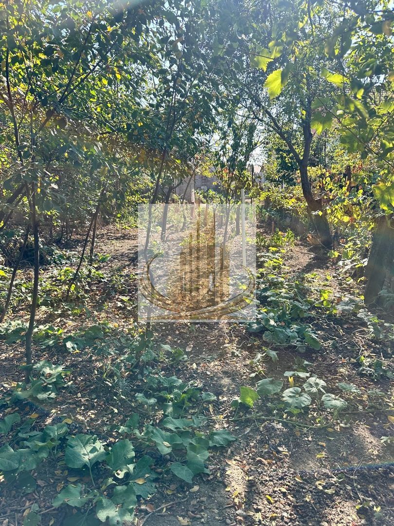 Casă individuală Plopi, 60 mp utili, teren 477 mp, necesită renovare - foto 7 Casă individuală Plopi, 60 mp utili, teren 477 mp, necesită renovare - foto 7