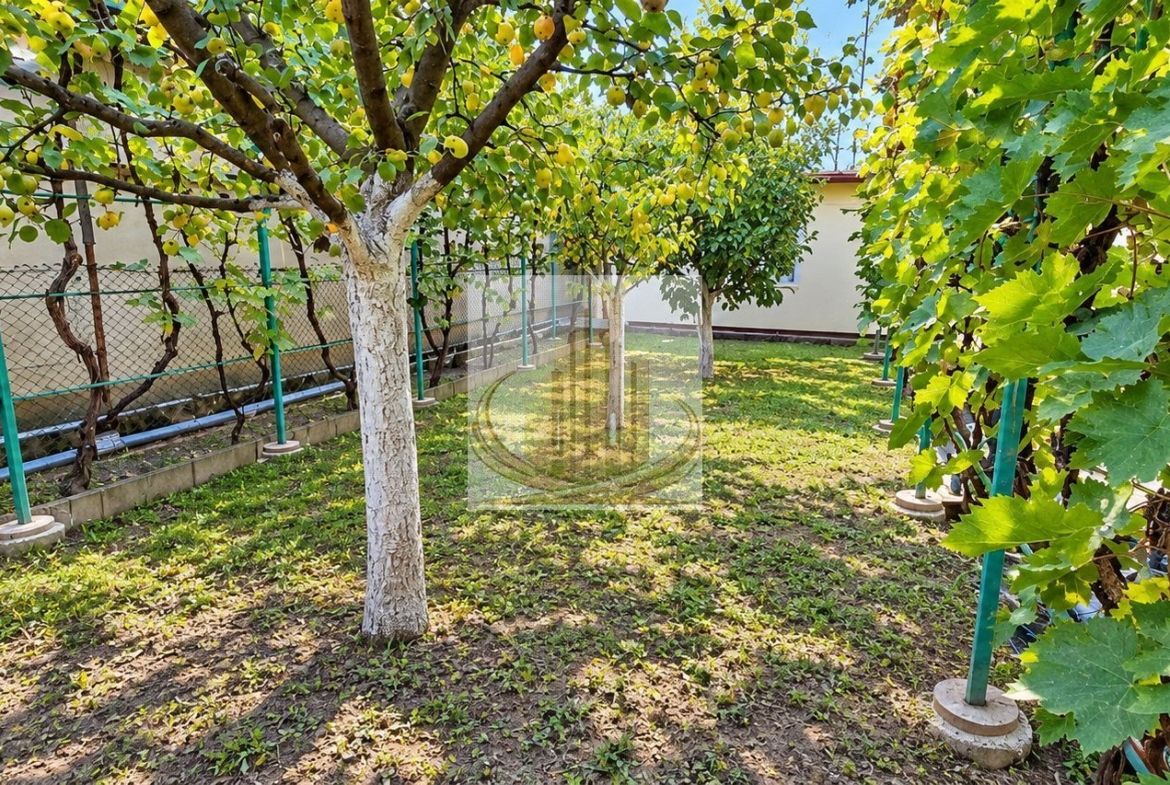 CASĂ INDIVIDUALĂ CU TEREN 430 MP, ZONA PLOPI – TIMIȘOARA - foto 8