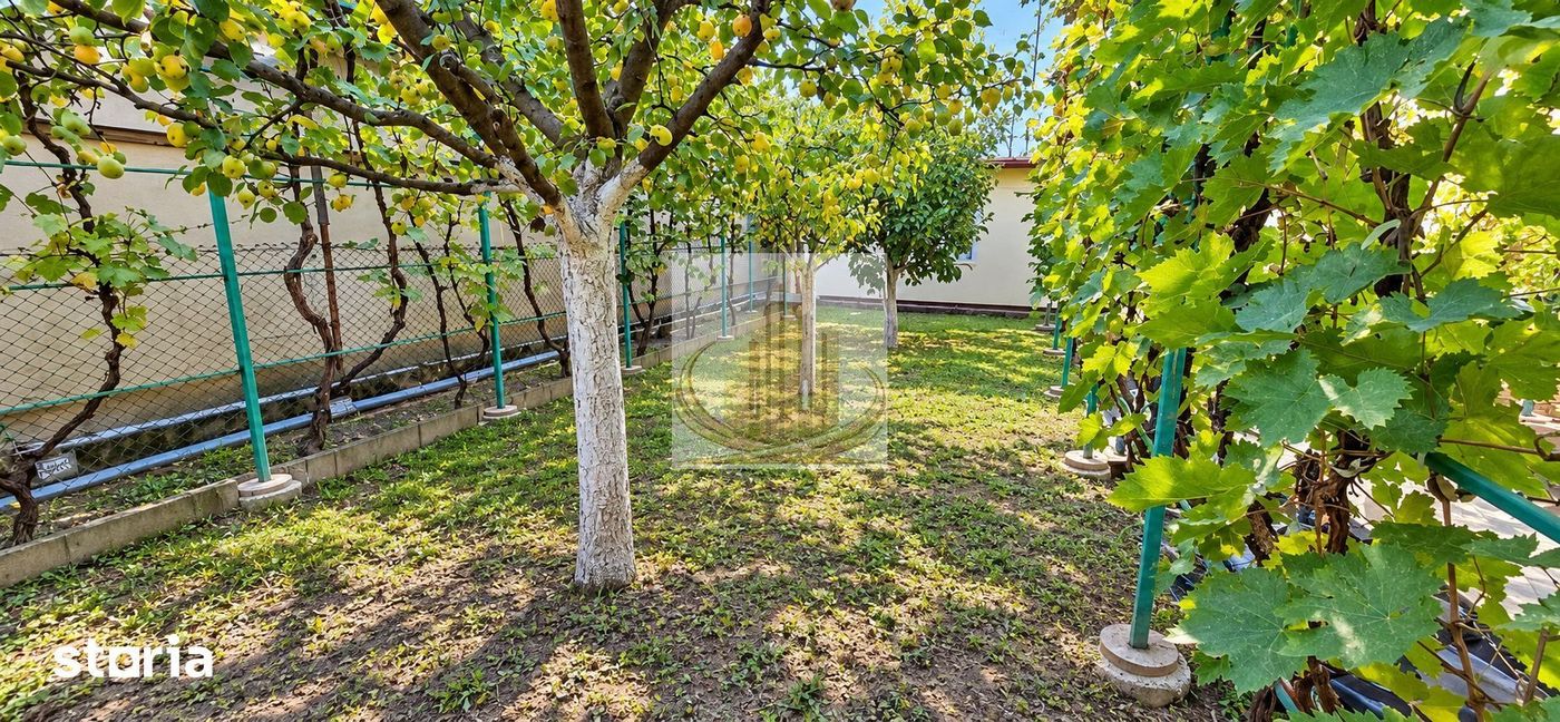 CASĂ INDIVIDUALĂ CU TEREN 430 MP, ZONA PLOPI – TIMIȘOARA - foto 8