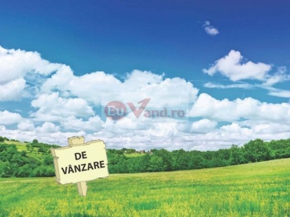 De vanzare 1600 mp. teren extravilan, com. Vanatori, 21E/mp - Imagine principala