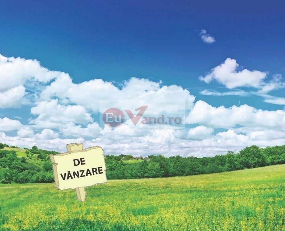 De vanzare 1600 mp. teren extravilan, com. Vanatori, 21E/mp - Imagine principala