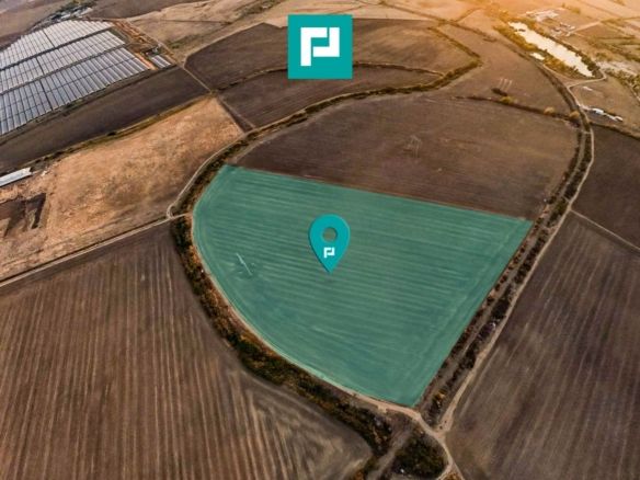 Teren arabil 68,800mp Zimandu Nou - Imagine principala