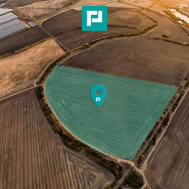 Teren arabil 68,800mp Zimandu Nou - Imagine principala