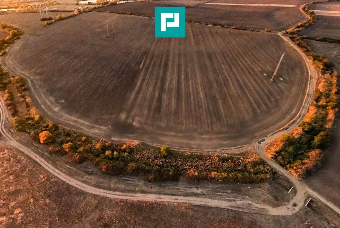 Teren arabil 68,800mp Zimandu Nou - foto 8