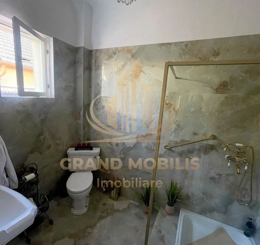 Casa Musicescu Șagului Timisoara - foto 2