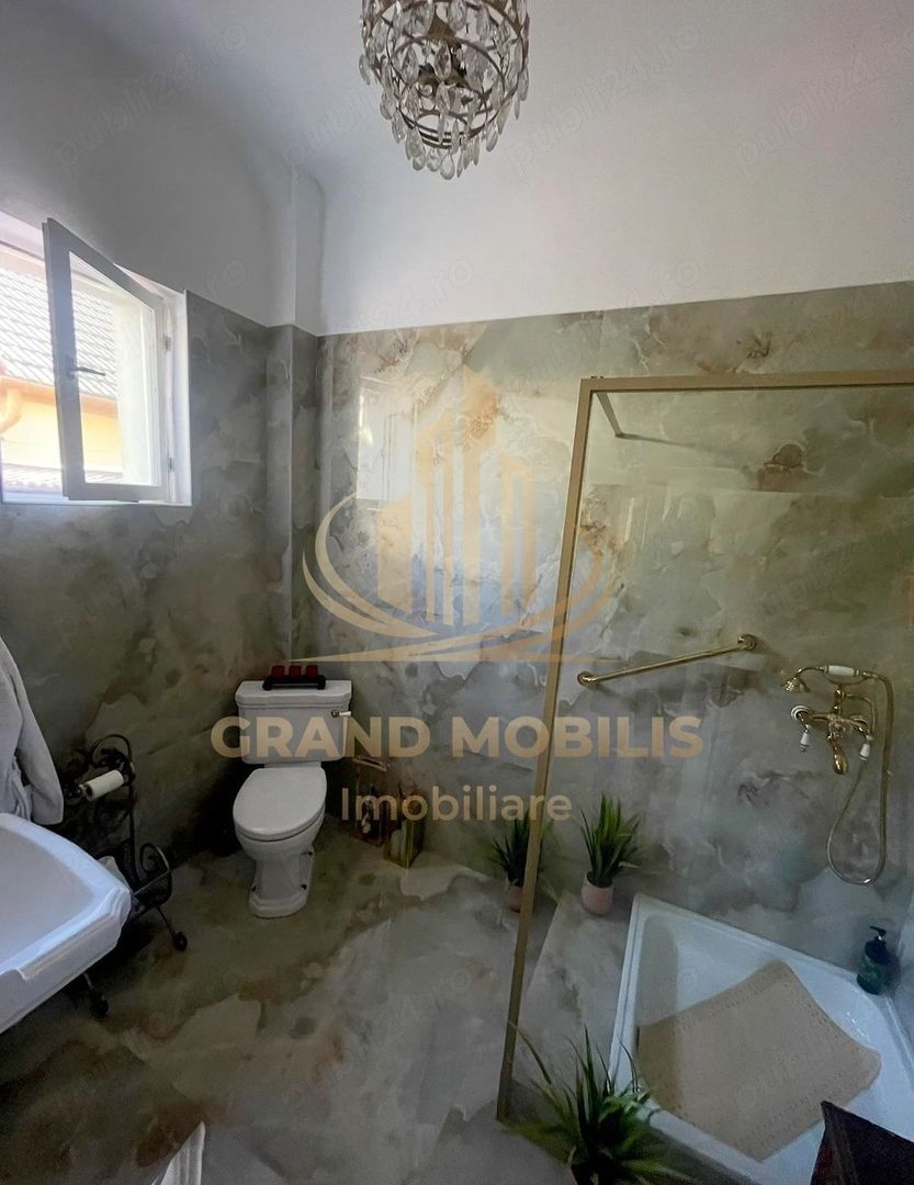 Casa Musicescu Șagului Timisoara - foto 2