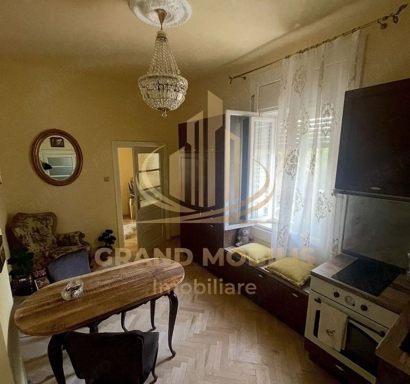 Casa Musicescu Șagului Timisoara - foto 5