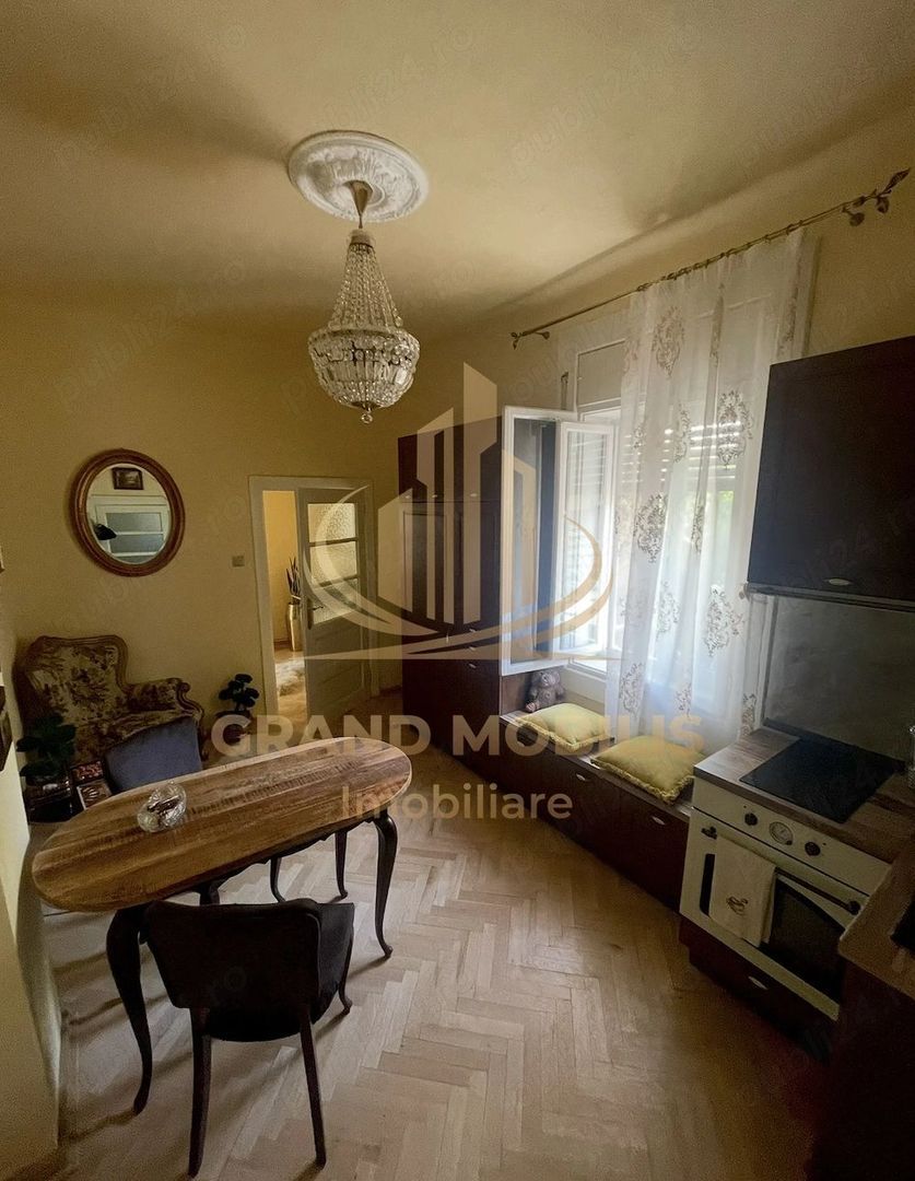 Casa Musicescu Șagului Timisoara - foto 5