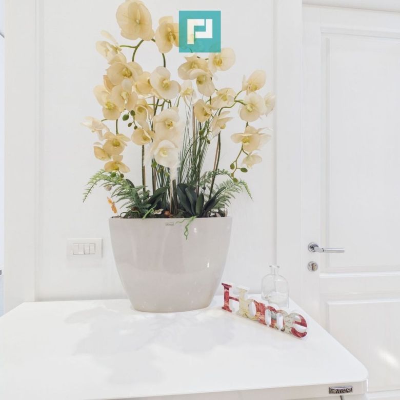 Apartament deosebit în clădire istorică central - Imagine principala