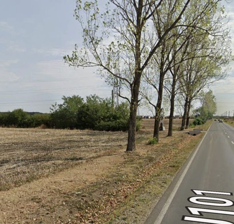 TEREN INTAVILAN/| DESCHIDERE 139 m //36 EURO MP-BALOTESTI - foto 2