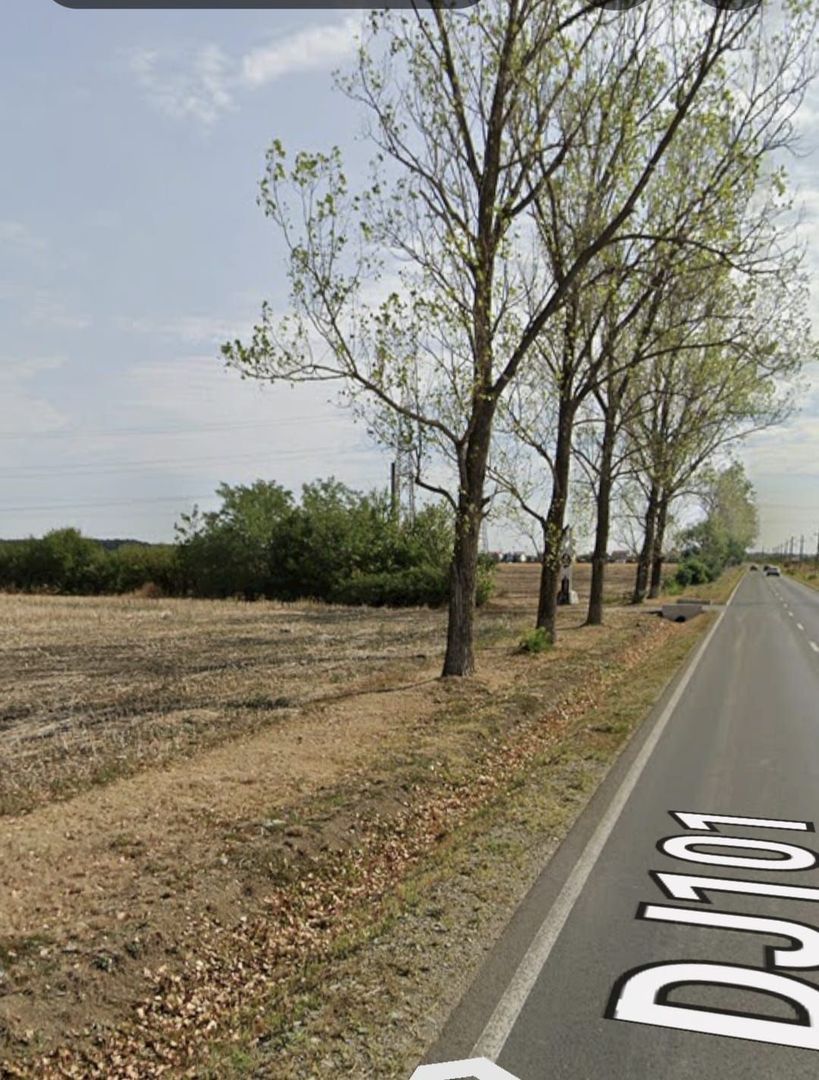TEREN INTAVILAN/| DESCHIDERE 139 m //36 EURO MP-BALOTESTI - foto 2