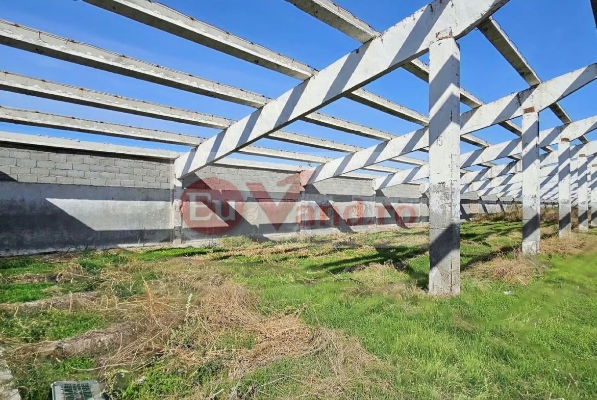 HALA INDUSTRIALA DE VANZARE, VANATORI, DN26, TEREN 3.500 MP – PRET 249.000E - foto 3