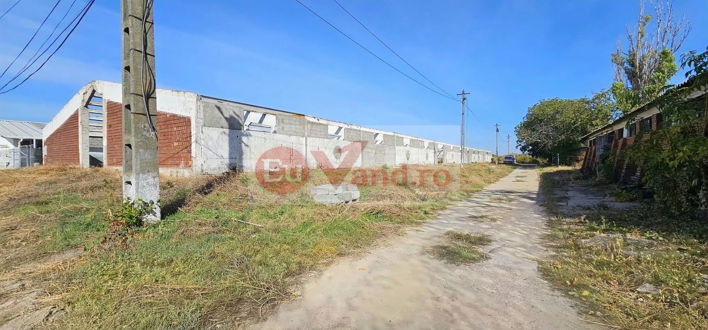 HALA INDUSTRIALA DE VANZARE, VANATORI, DN26, TEREN 3.500 MP – PRET 249.000E - foto 4