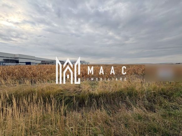 Teren de vanzare I intravilan I 20800 mp I zona vest - Imagine principala