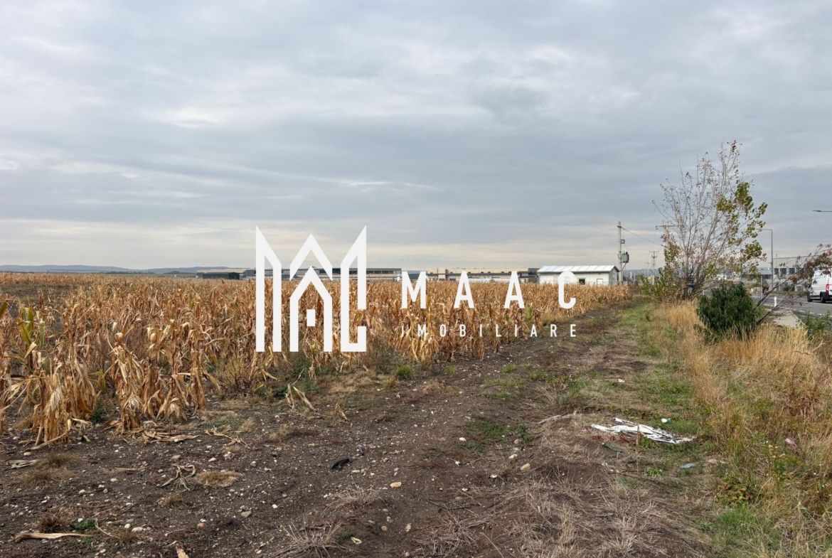 Teren de vanzare I intravilan I 20800 mp I zona vest - foto 3