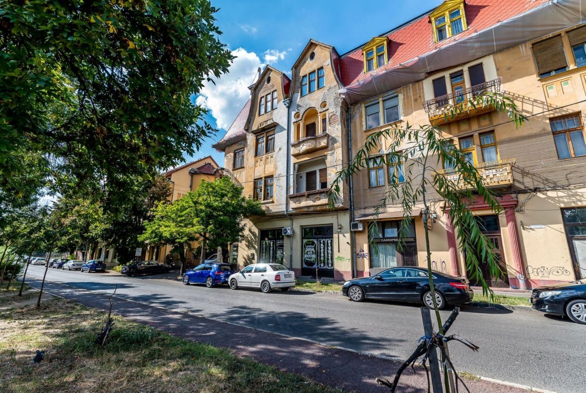 3 camere în Palatul Gemeinhardt, pe malul Begăi | Timișoara - foto 4