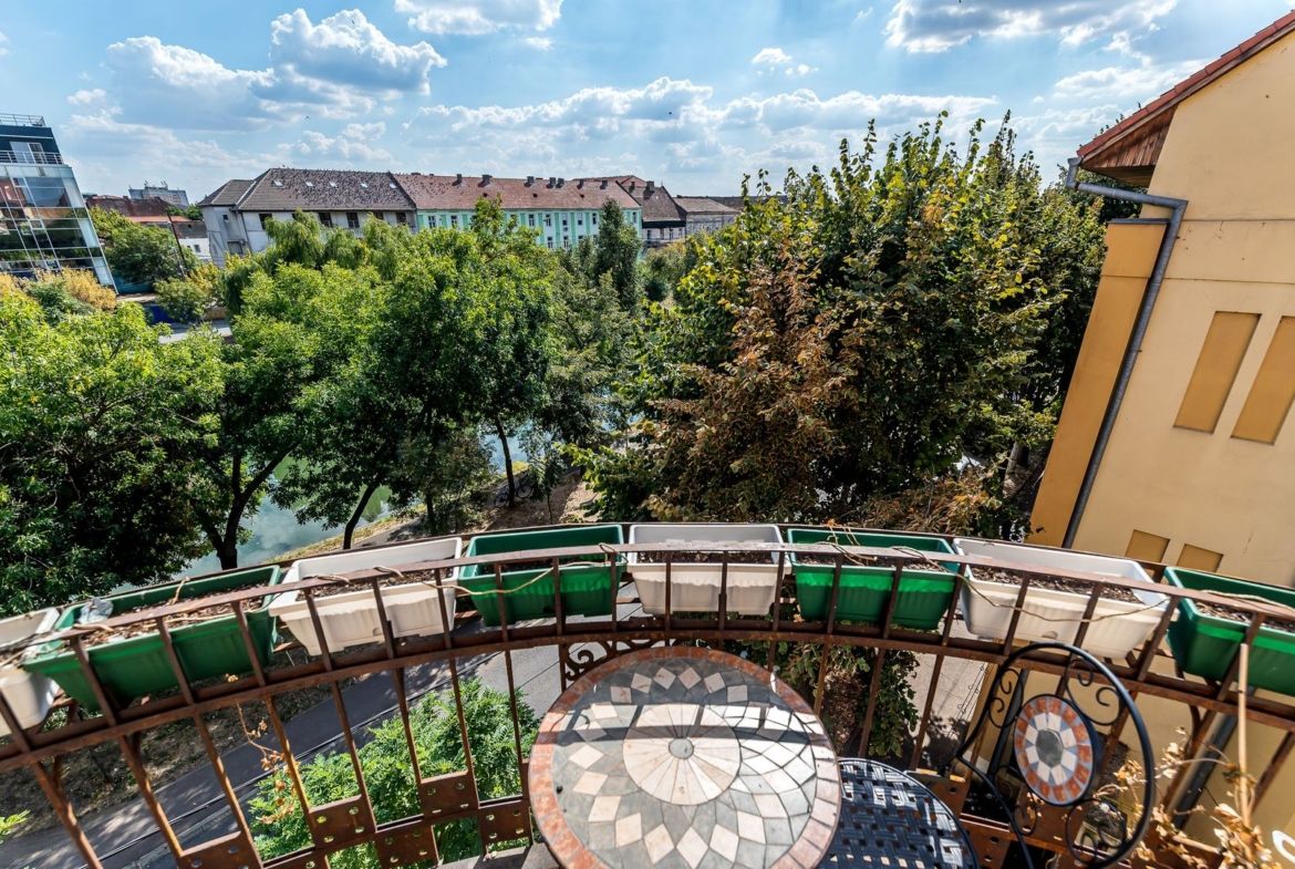 3 camere în Palatul Gemeinhardt, pe malul Begăi | Timișoara - foto 5