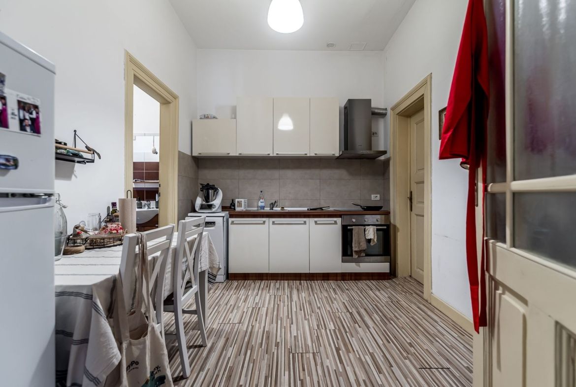 3 camere în Palatul Gemeinhardt, pe malul Begăi | Timișoara - foto 6