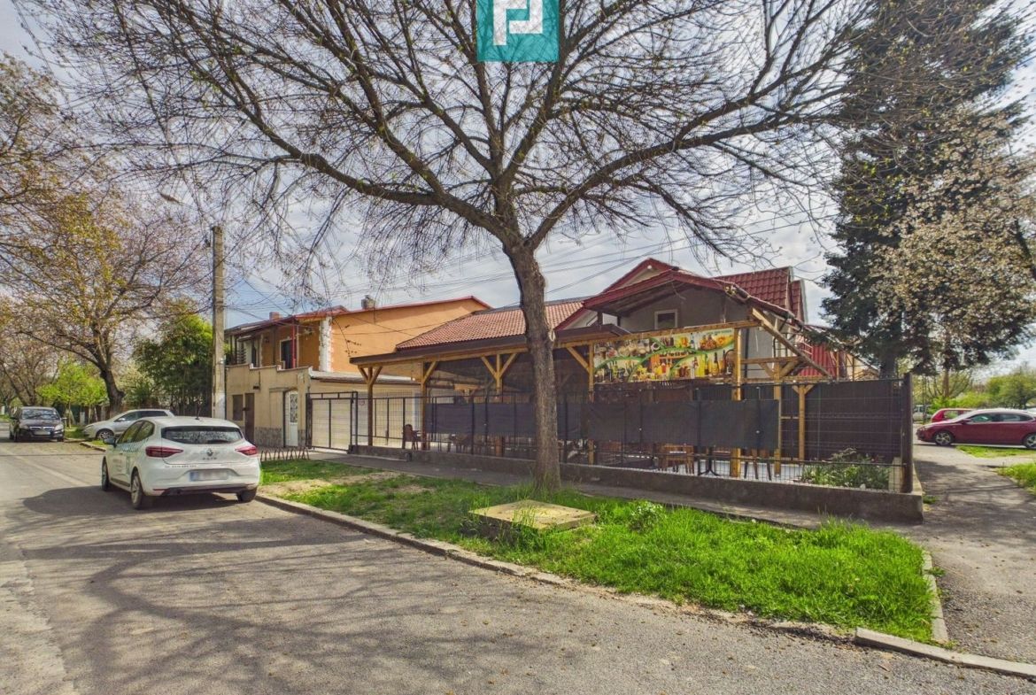 Casă + afacere activă | Venit 1100€/lună - foto 3
